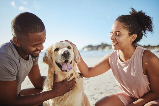 Welcome to SpunkyShelf.com – Your Destination for Happy Pets and Healthy Living